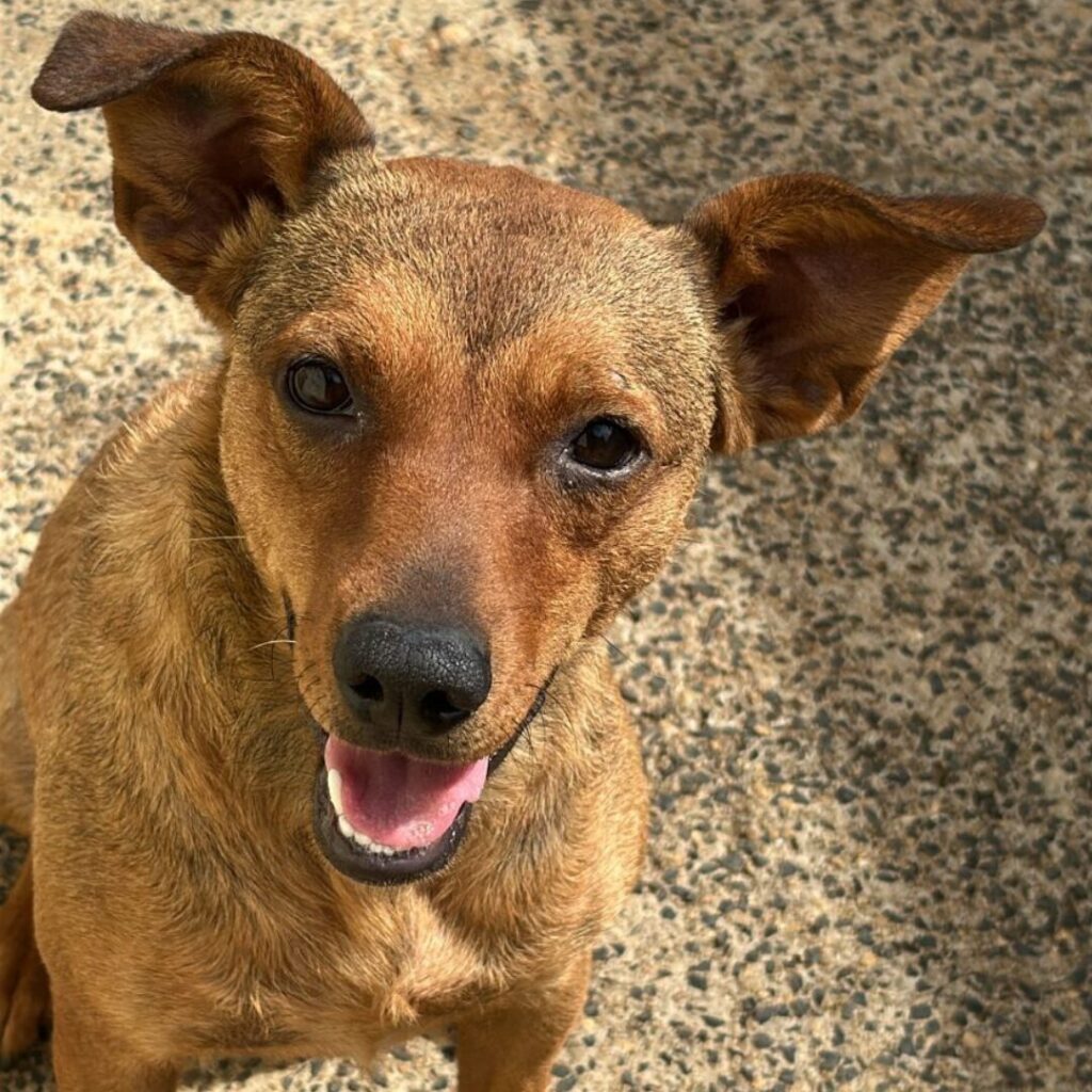 Design sem nome (29)