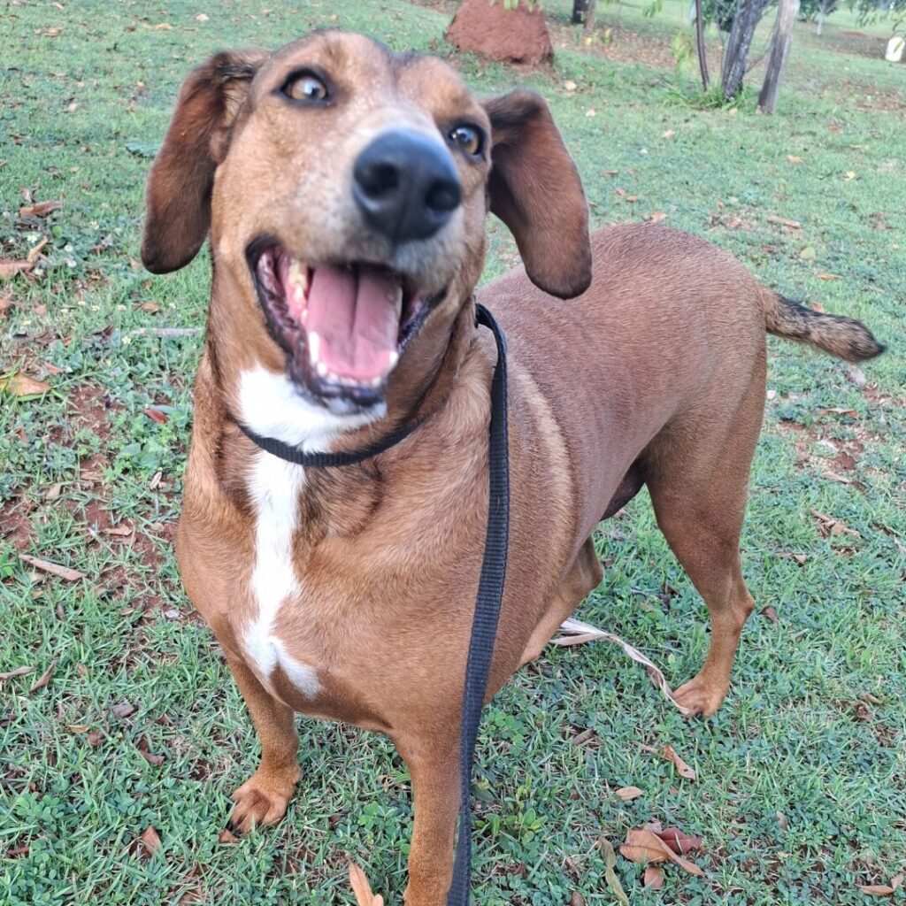 Design sem nome (30)