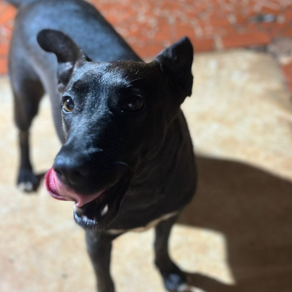 Design sem nome (31)