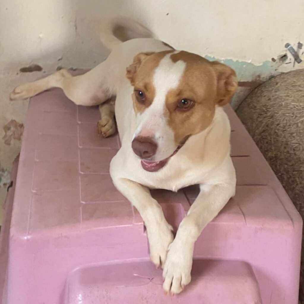 Design sem nome (32)