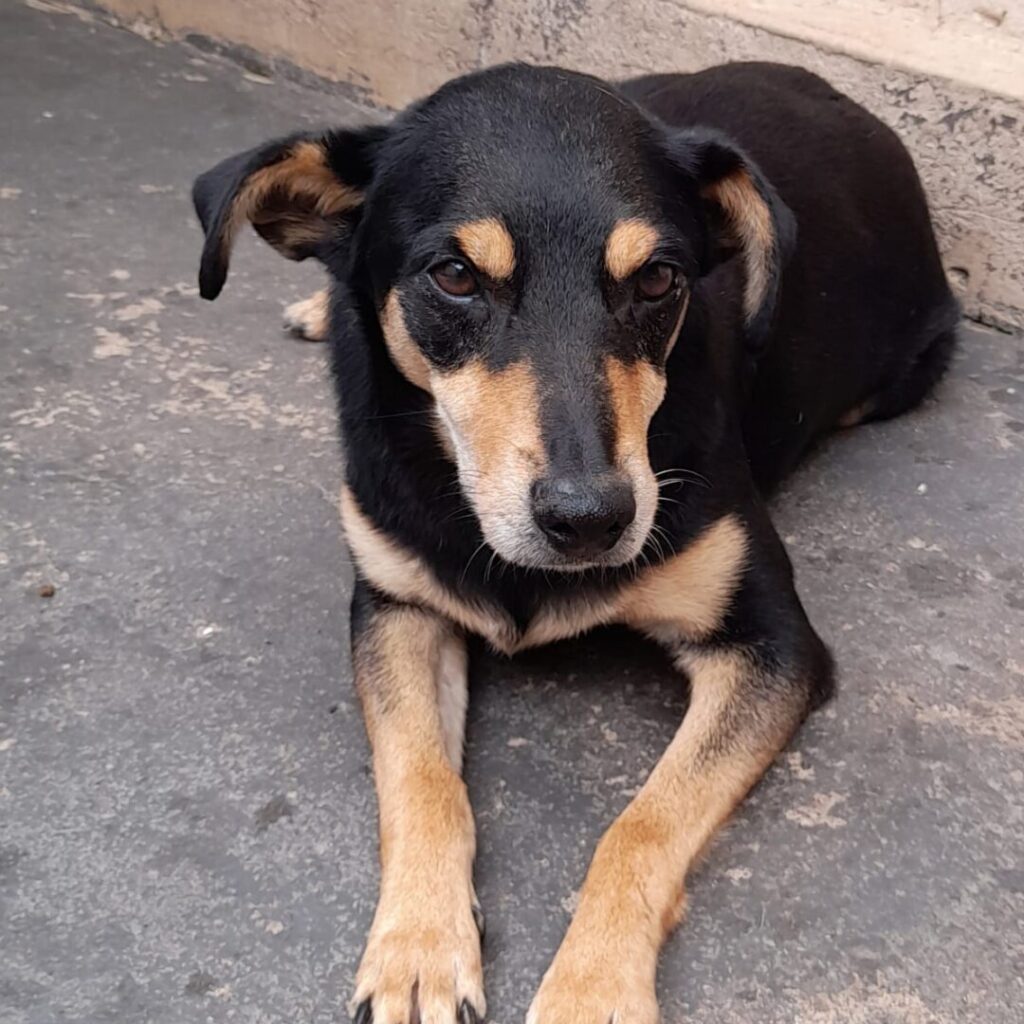 Design sem nome (34)