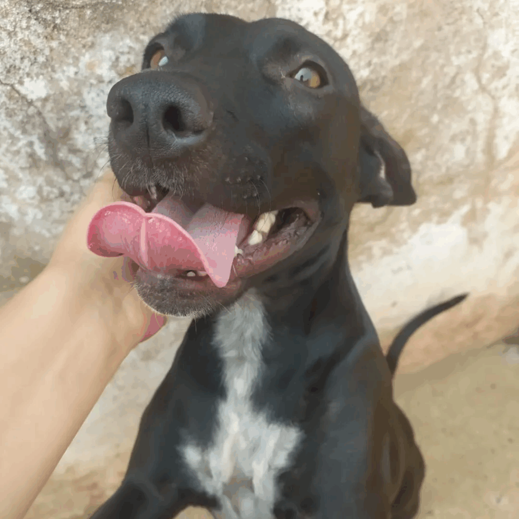 imgi 3 Design+sem+nome+(17) 1920w