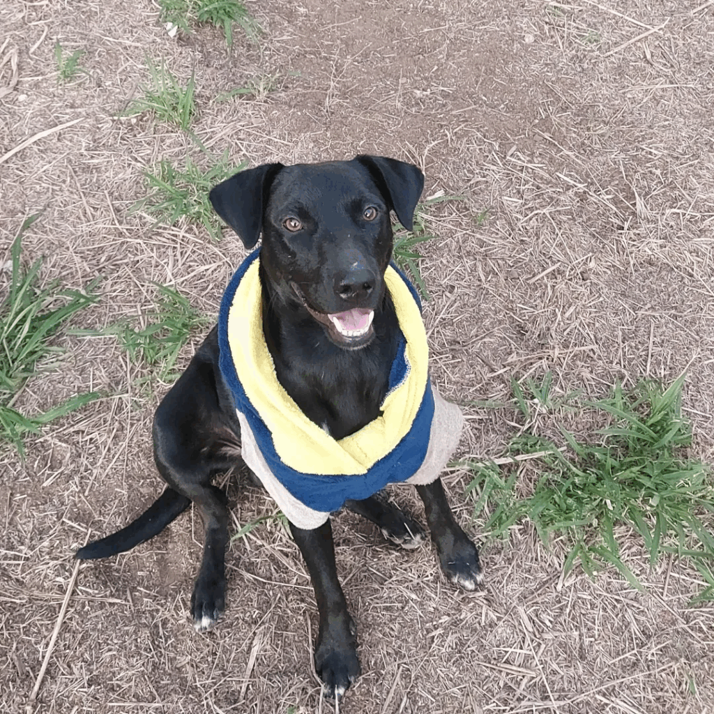 imgi 3 Design+sem+nome+(22) 1920w