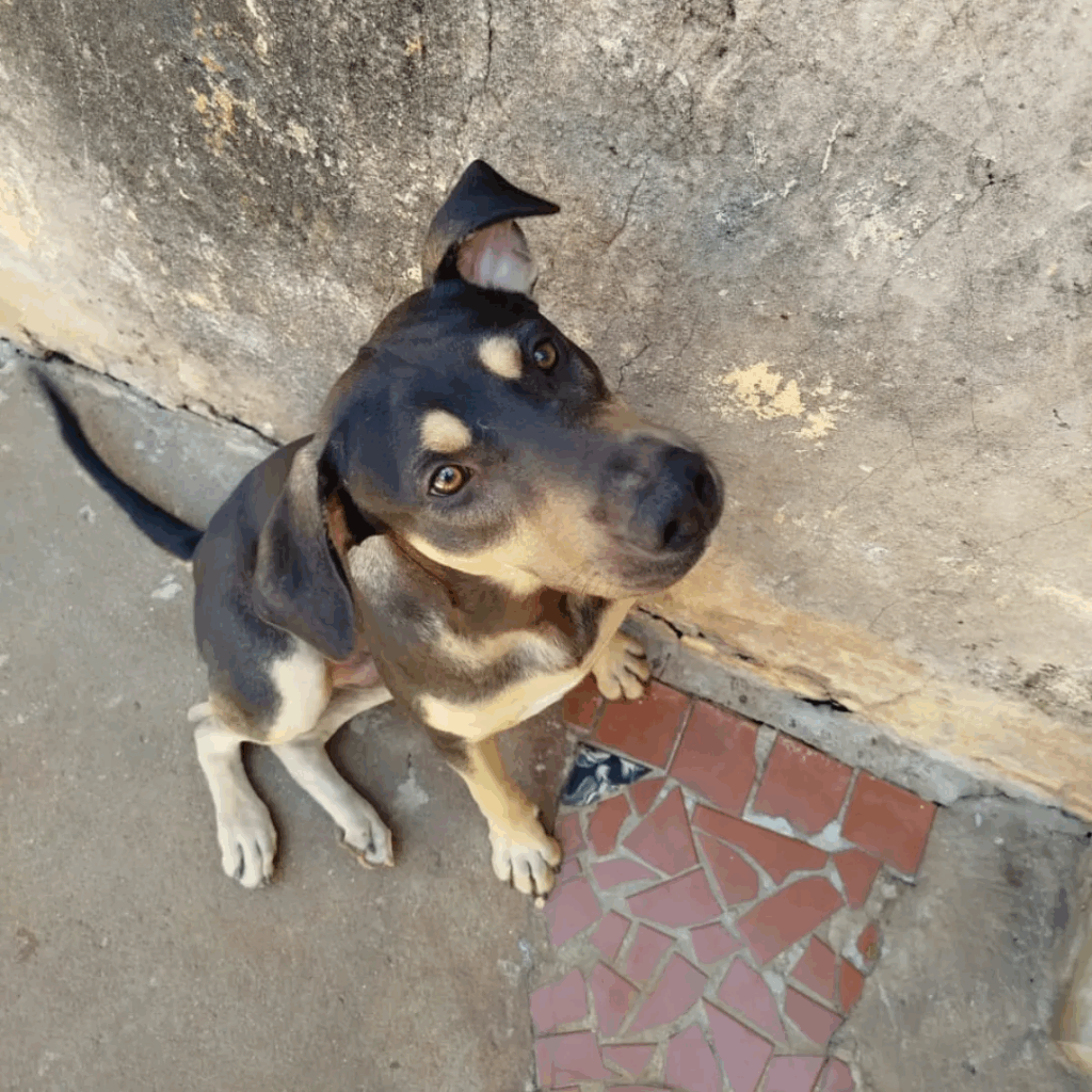 imgi 3 Design+sem+nome+(24) 1920w