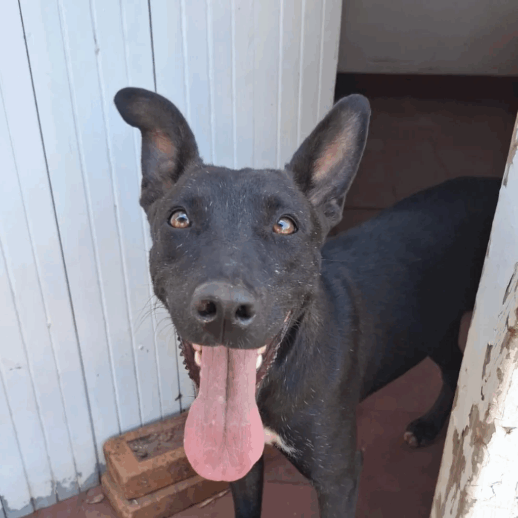 imgi 3 Design+sem+nome+(25) 1920w