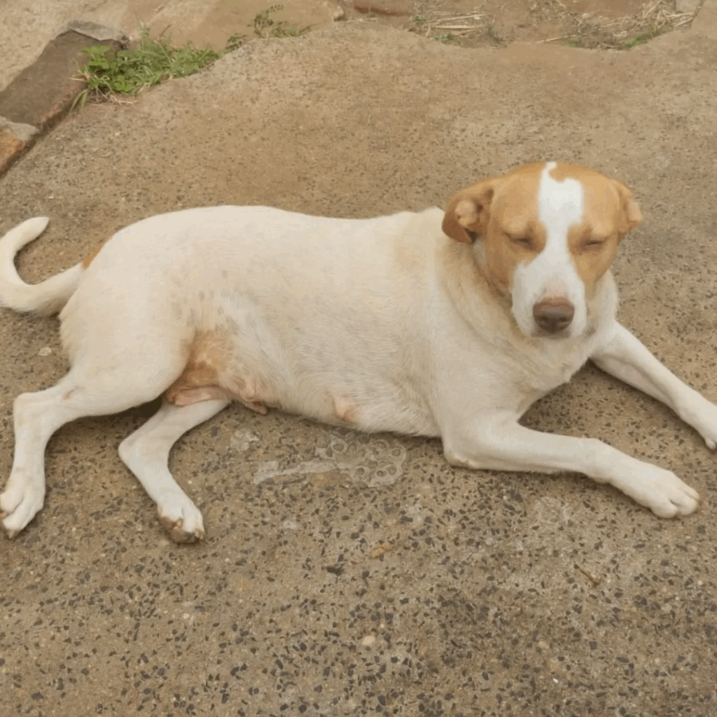 imgi 3 Design+sem+nome+(26) 1920w