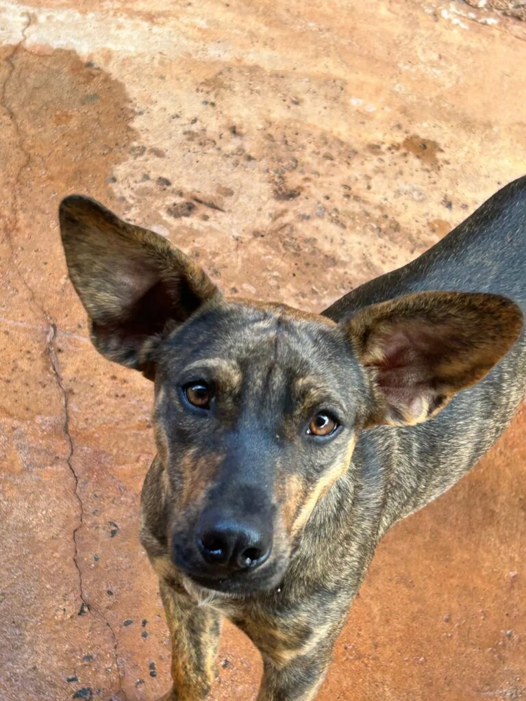 imgi 3 IMG 20250620 WA0070 1920w