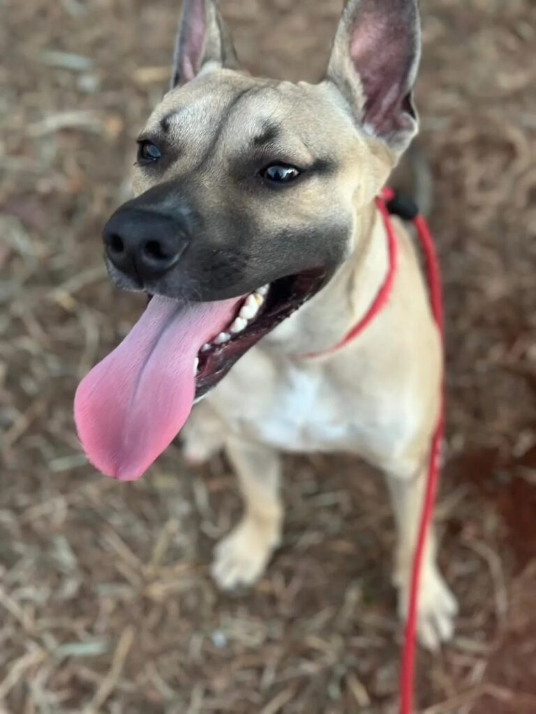 imgi 3 unnamed+(3) 1920w