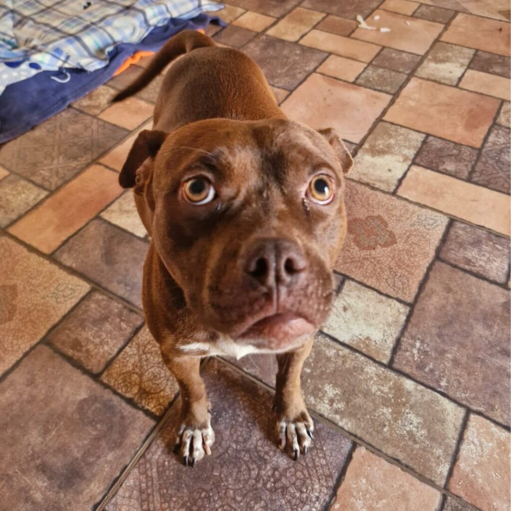 Design sem nome (29)