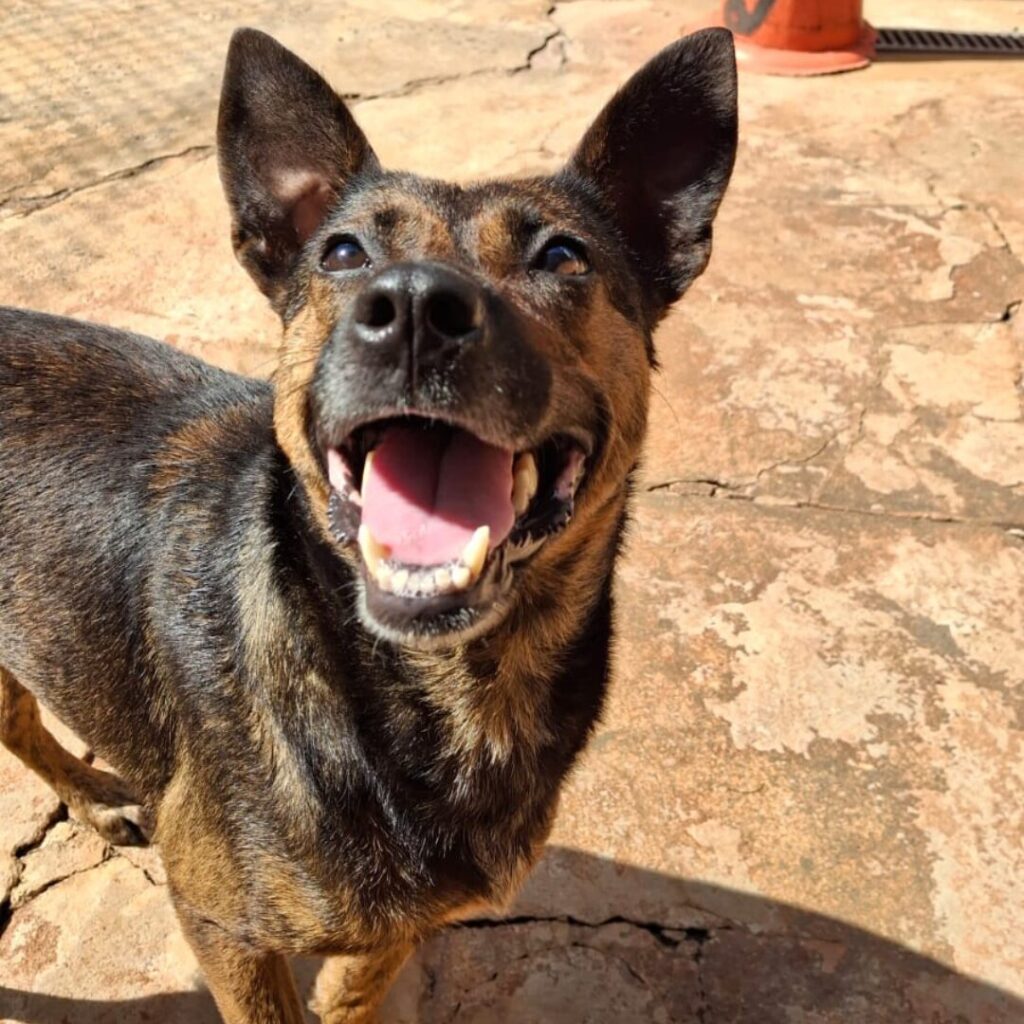 Design sem nome (31)