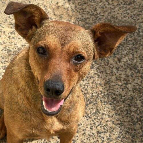 Design sem nome (29)