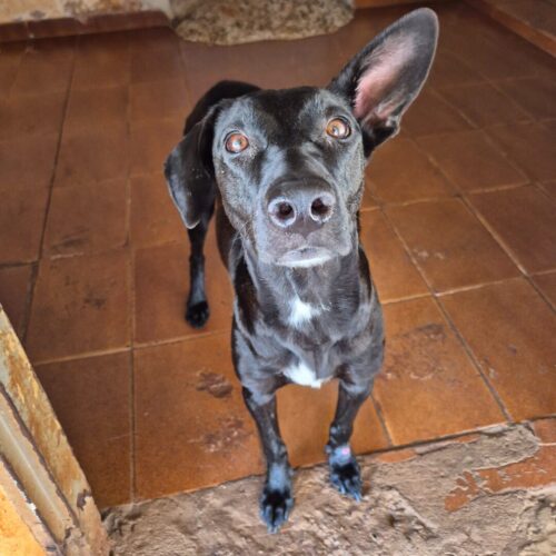 Design sem nome (30)