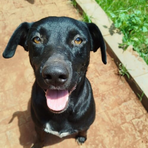 Design sem nome (32)