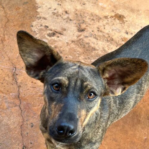 imgi 3 IMG 20250620 WA0070 1920w