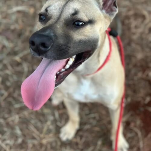 imgi 3 unnamed+(3) 1920w