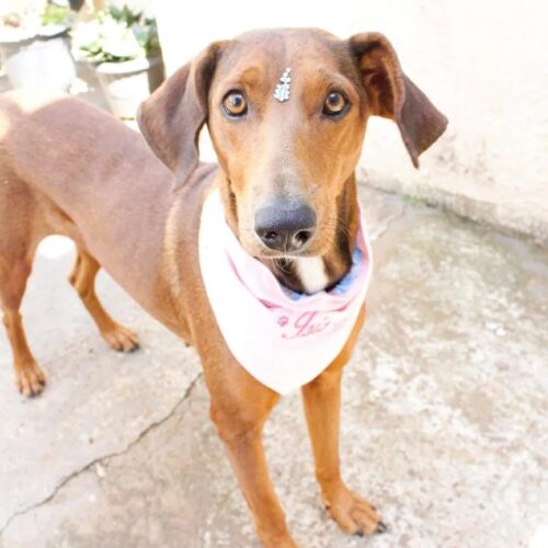 imgi 4 WhatsApp+Image+2023 09 14+at+17.36.24 1920w